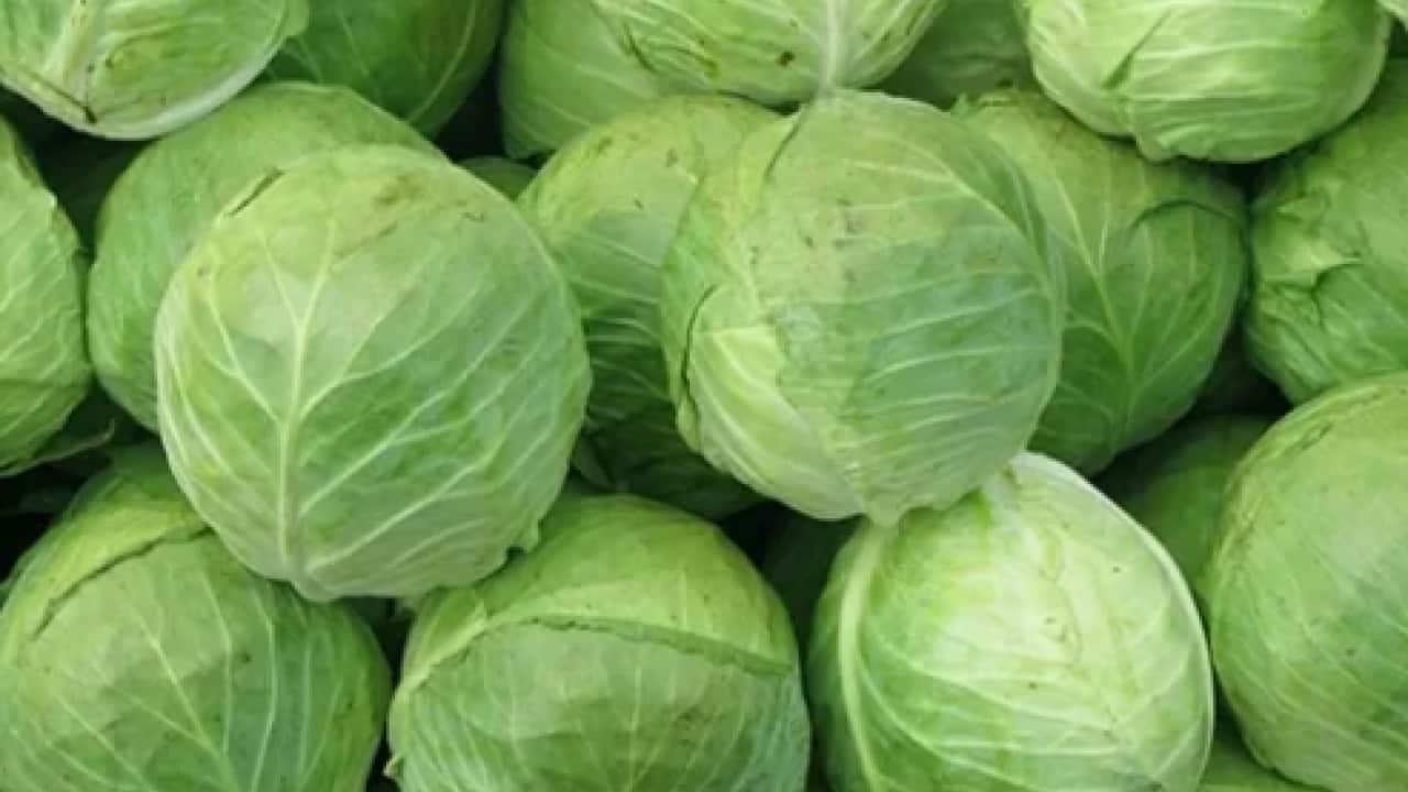 Foto - Kaynatıp ödemli bölgeye sürün: Şaraçoğlu'ndan şeker hastalarına mucize tarif!