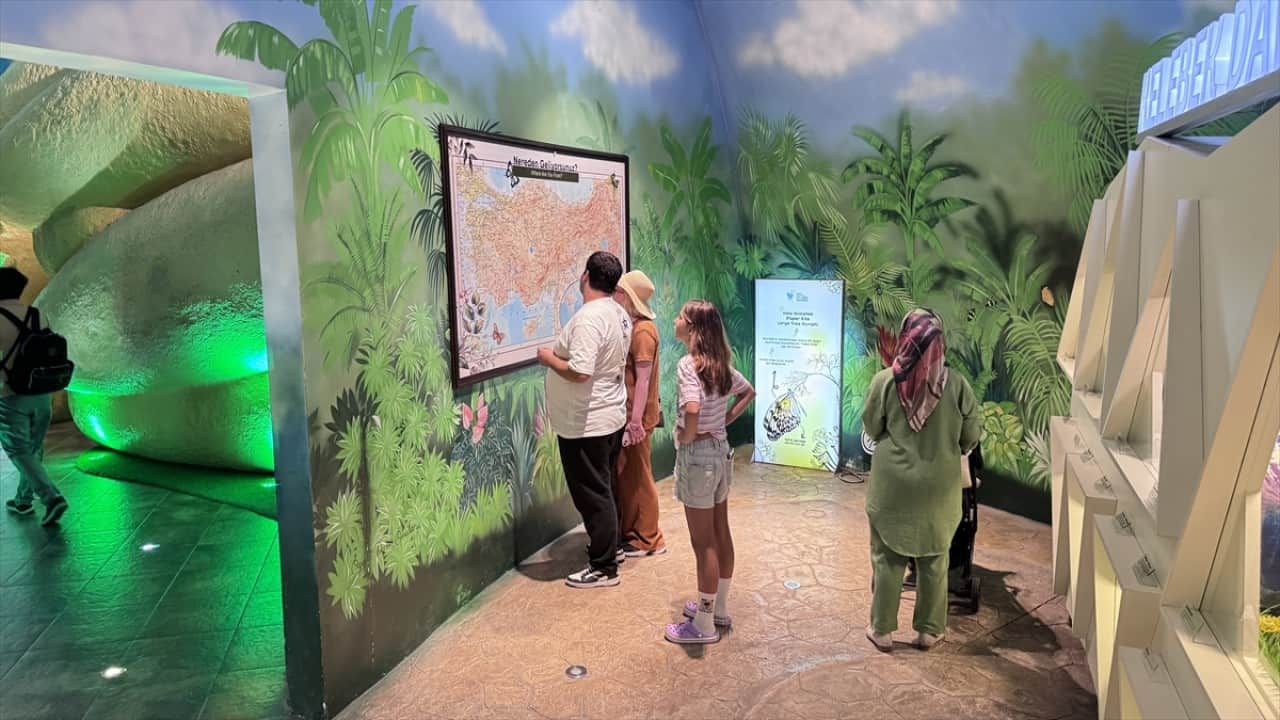 Foto - Kelebek Bahçesi'nin ziyaretçi profili Nereden sorusuna 25 bin adet toplu iğneli cevap