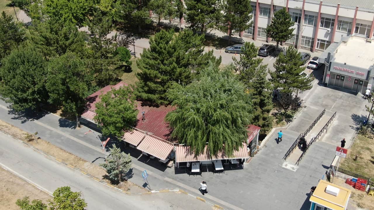 Foto - Kesmeye kıyamadı, işletmesinin simgesi oldu! Salkım söğüdü ile gelen bereket