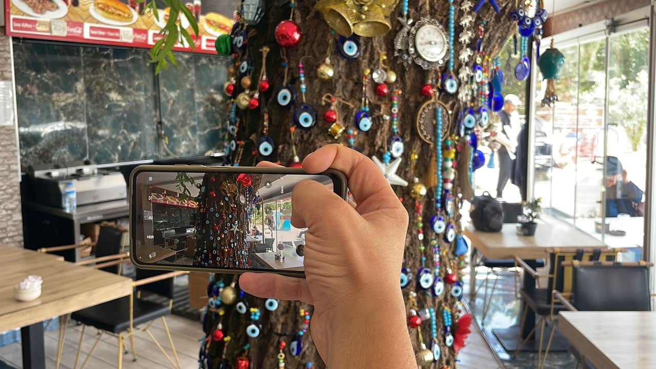 Foto - Kesmeye kıyamadı, işletmesinin simgesi oldu! Salkım söğüdü ile gelen bereket