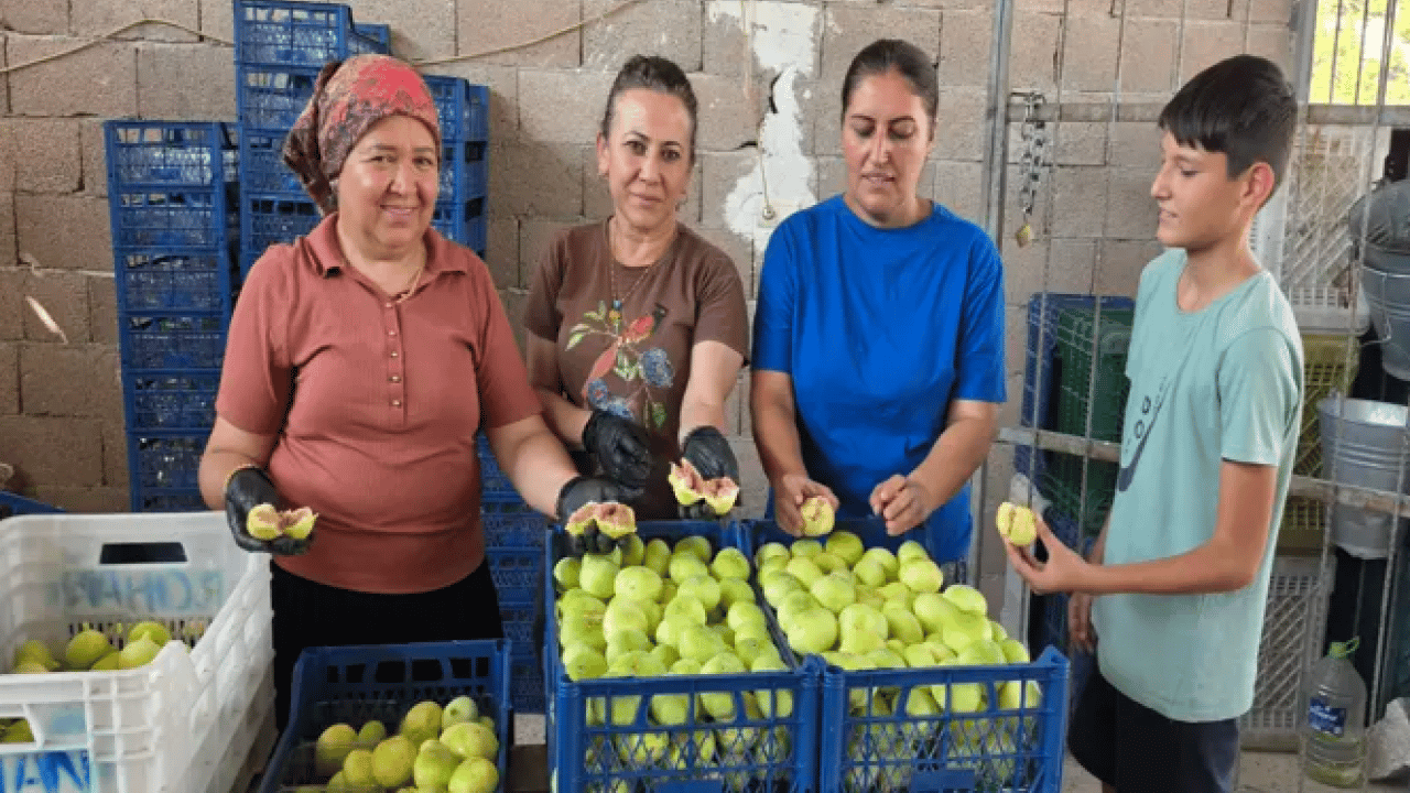 Foto - Aromasıyla tadı damakta kalıyor: Kilosu 150 TL'den satılıyor!