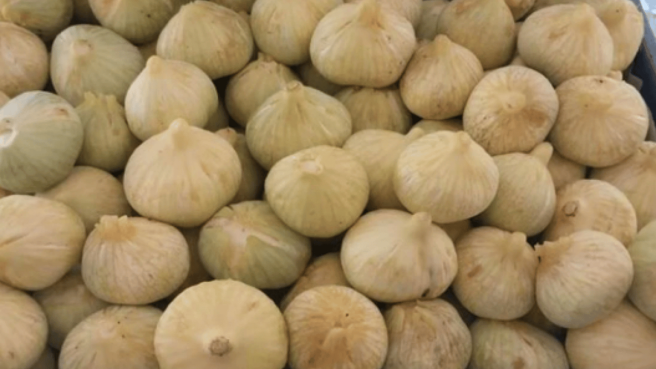Foto - Aromasıyla tadı damakta kalıyor: Kilosu 150 TL'den satılıyor!