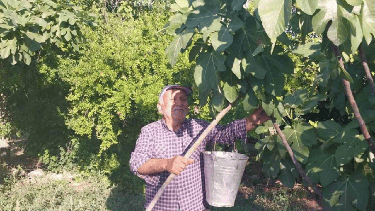 Foto - Aromasıyla tadı damakta kalıyor: Kilosu 150 TL'den satılıyor!