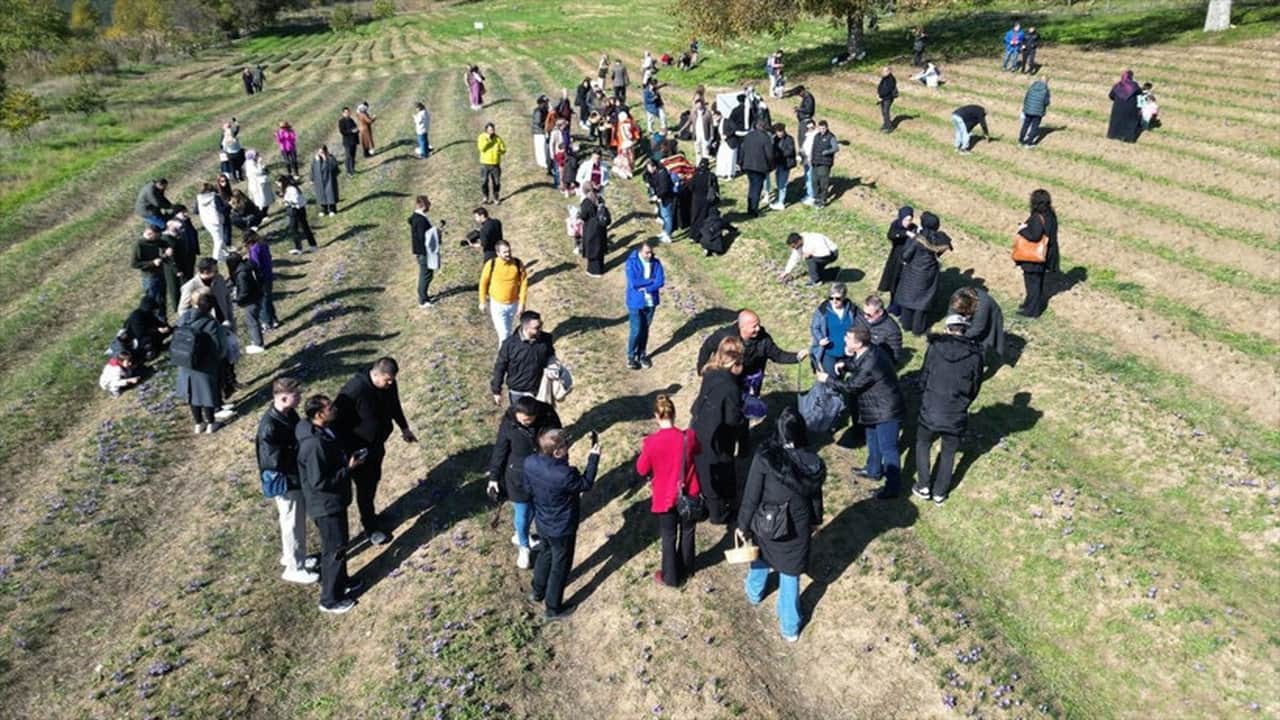 Foto - Kilosu 800 bin liraya ulaştı! Jandarma, "kırmızı altın" için tarlalarda 24 saat silahlı nöbet tutuyor