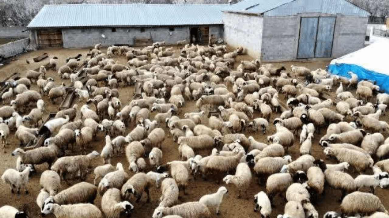 Foto - Kimsenin yüzüne bakmadığı meslek: Aylık 250 bin lira kazandırıyor!