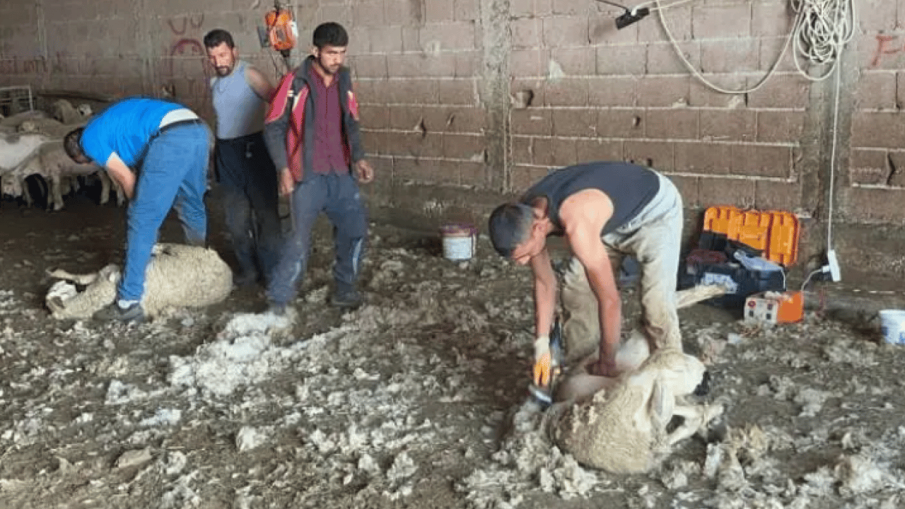 Foto - Kimsenin yüzüne bakmadığı meslek: Aylık 250 bin lira kazandırıyor!