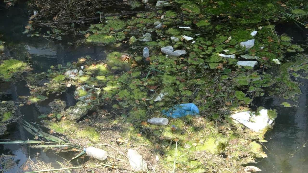 Foto - Kirlilik yüzünden çevre felaketi yaşayacağız