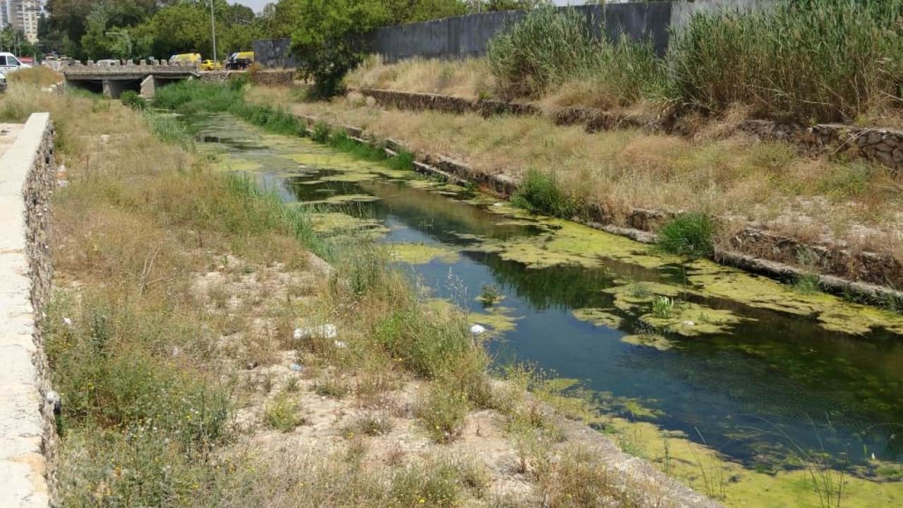 Foto - Kirlilik yüzünden çevre felaketi yaşayacağız