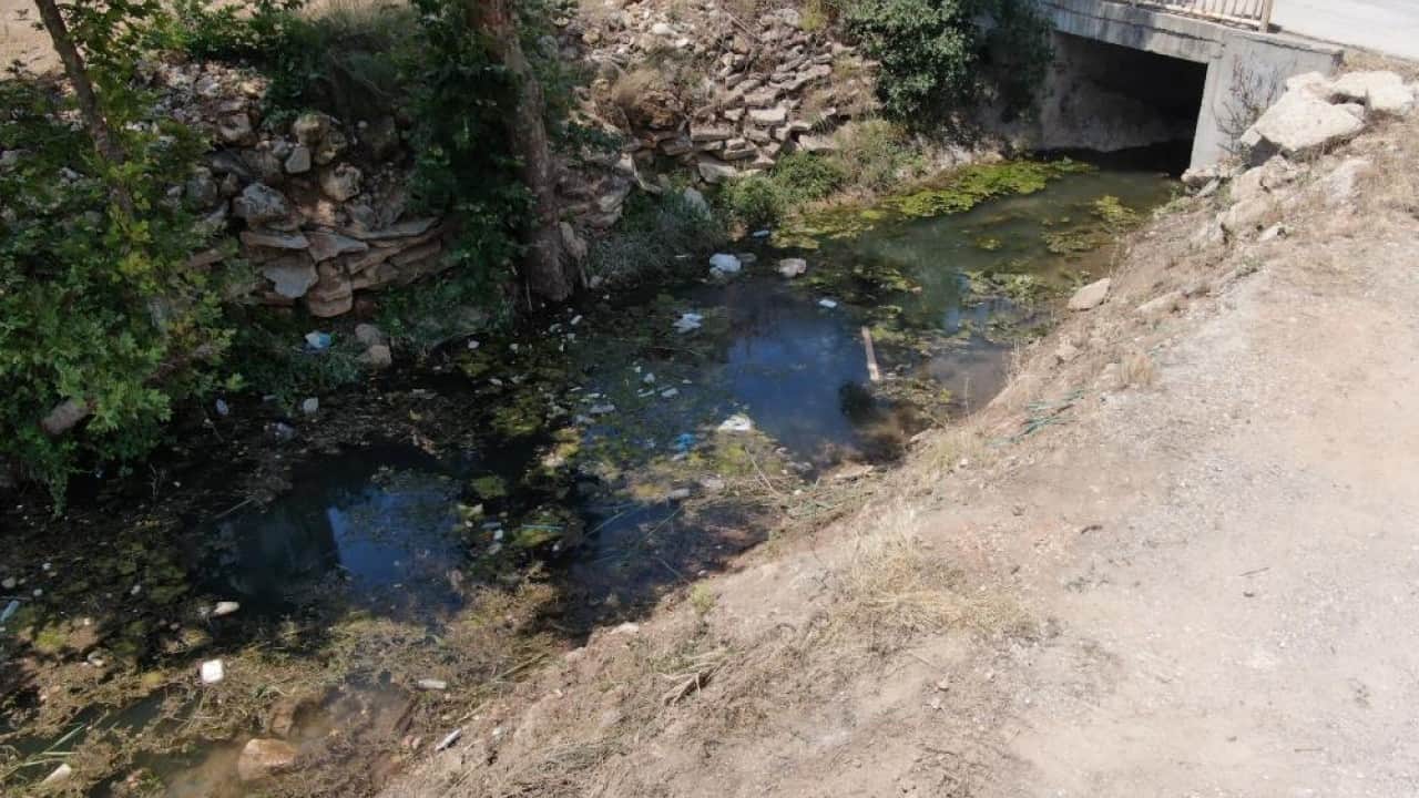 Foto - Kirlilik yüzünden çevre felaketi yaşayacağız