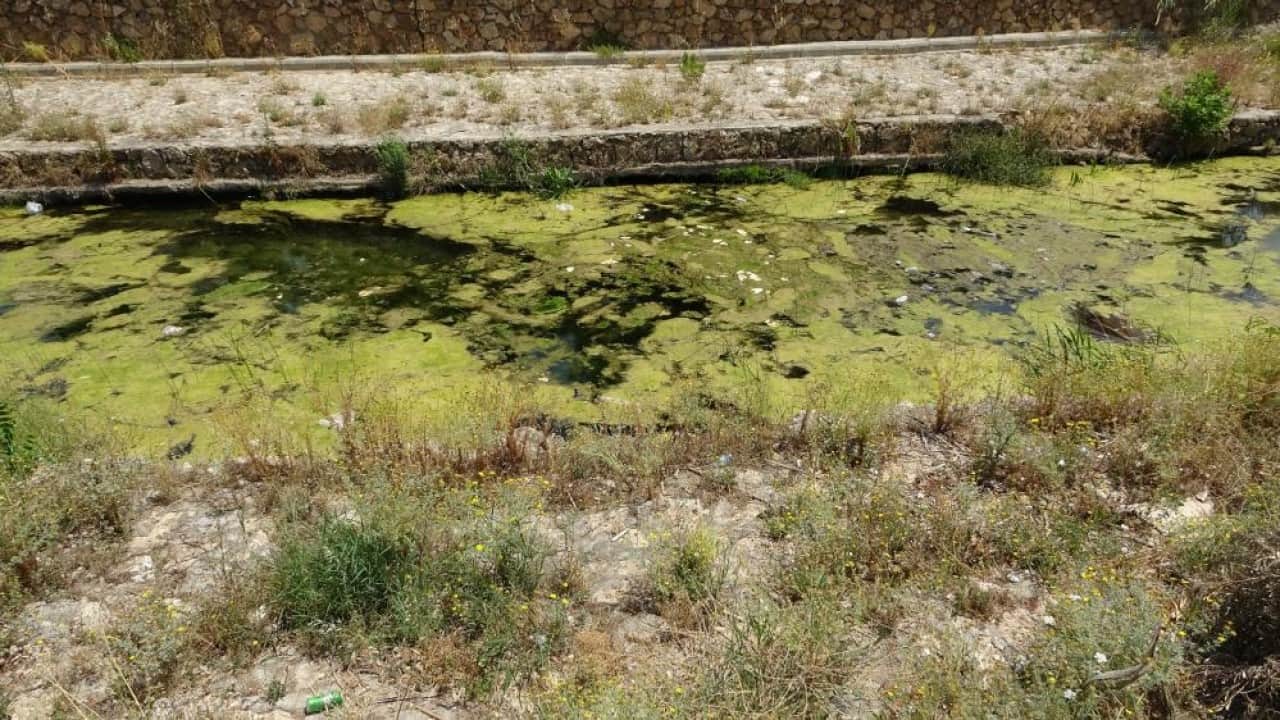 Foto - Kirlilik yüzünden çevre felaketi yaşayacağız