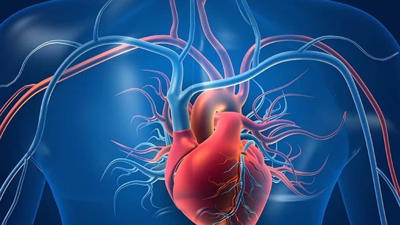 Foto - Asla eksik etmeyin: Vücudu kansere karşı koruyor... Damar sertliğini önlüyor