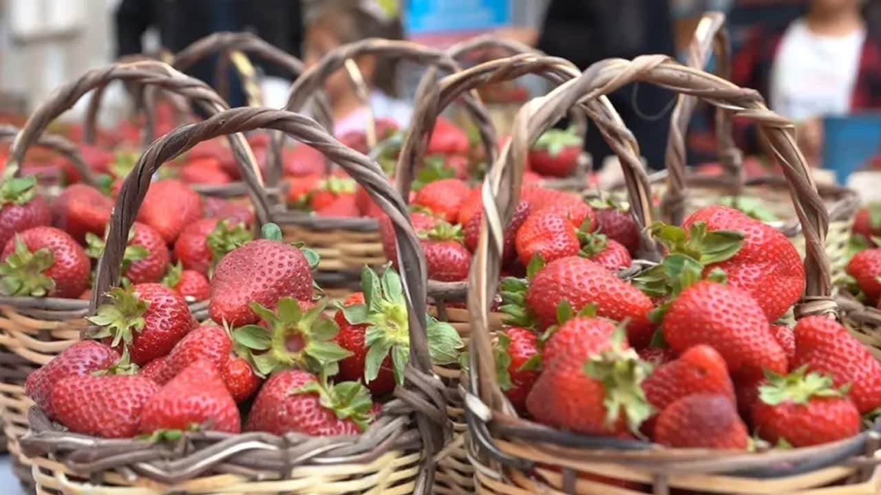 Foto - Asla eksik etmeyin: Vücudu kansere karşı koruyor... Damar sertliğini önlüyor