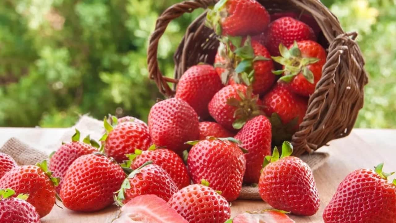 Asla eksik etmeyin: Vücudu kansere karşı koruyor... Damar sertliğini önlüyor