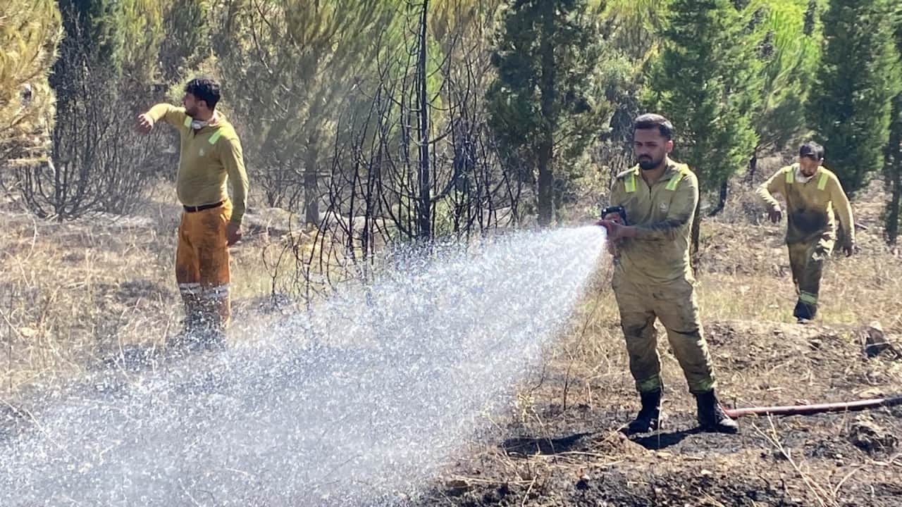 Foto - Kocaeli'ndeki yangın kontrol altında! Zarar gören alan büyüklüğü belli oldu