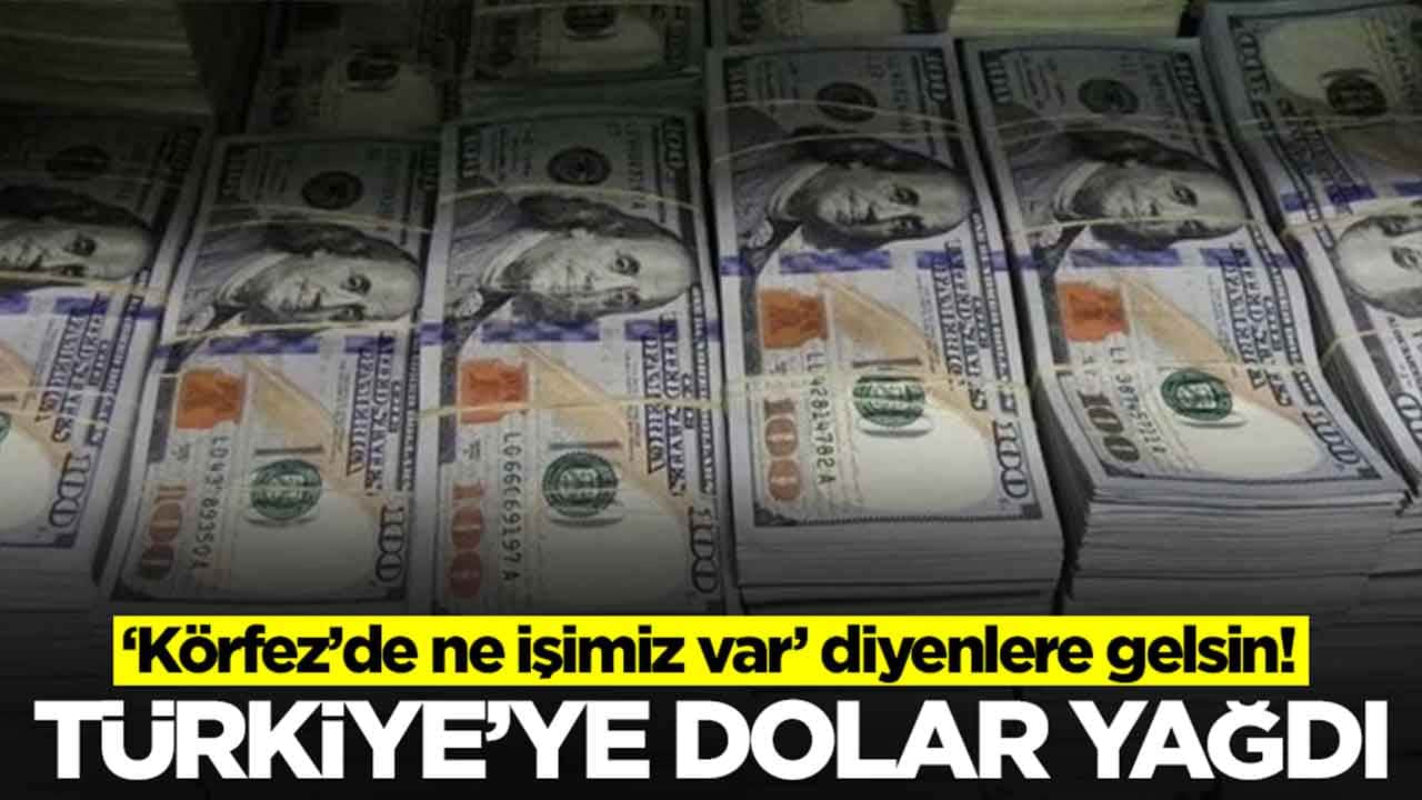 "Körfez’de ne işimiz var’ diyenlere gelsin: Türkiye'ye dolar yağdı