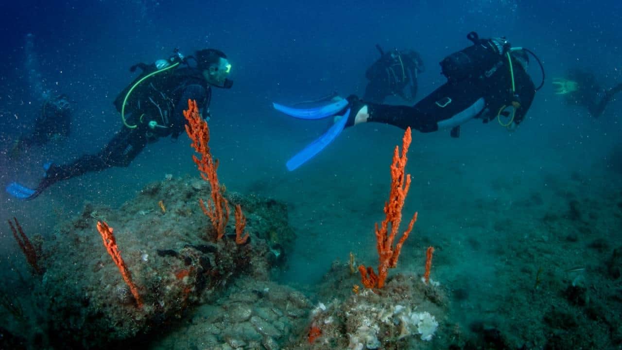 Foto - Kruvaziyer turizminin önemli durağı Kuşadası! Turistler su altı güzelliklerini de keşfediyor