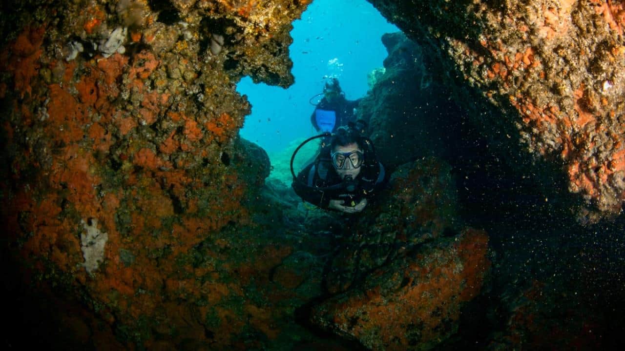 Foto - Kruvaziyer turizminin önemli durağı Kuşadası! Turistler su altı güzelliklerini de keşfediyor