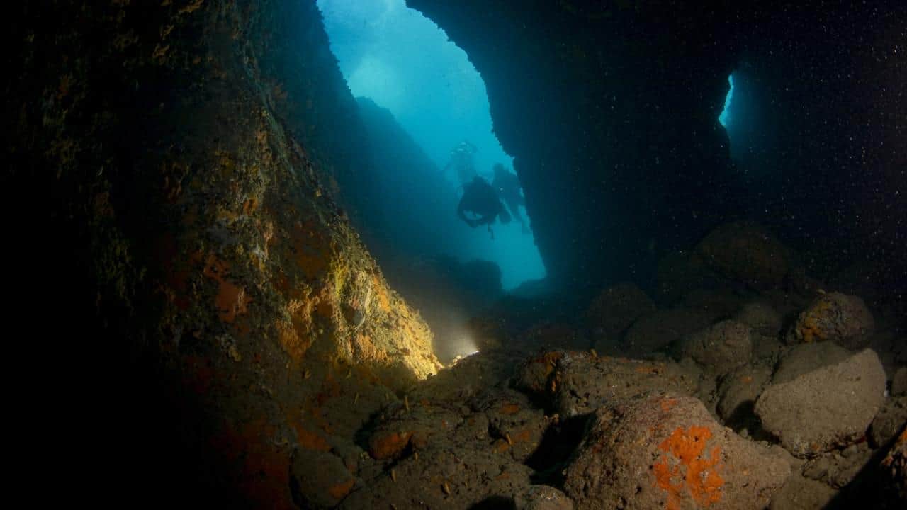 Foto - Kruvaziyer turizminin önemli durağı Kuşadası! Turistler su altı güzelliklerini de keşfediyor