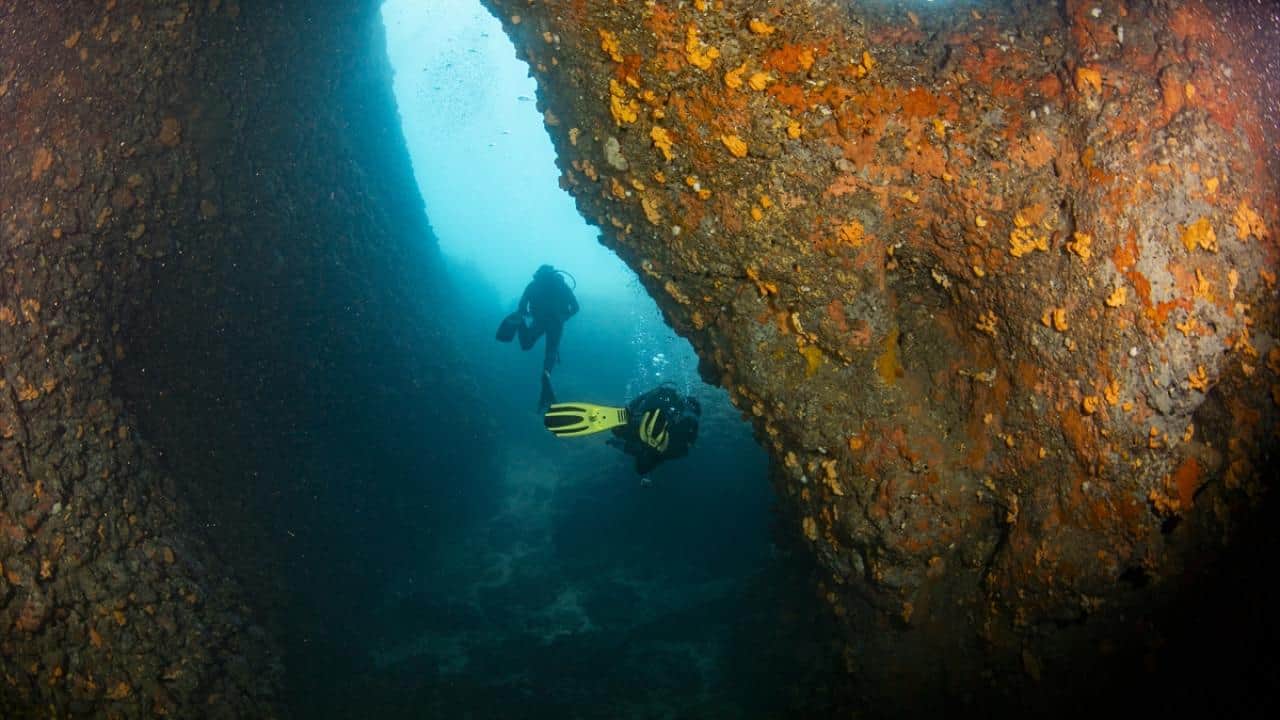 Foto - Kruvaziyer turizminin önemli durağı Kuşadası! Turistler su altı güzelliklerini de keşfediyor