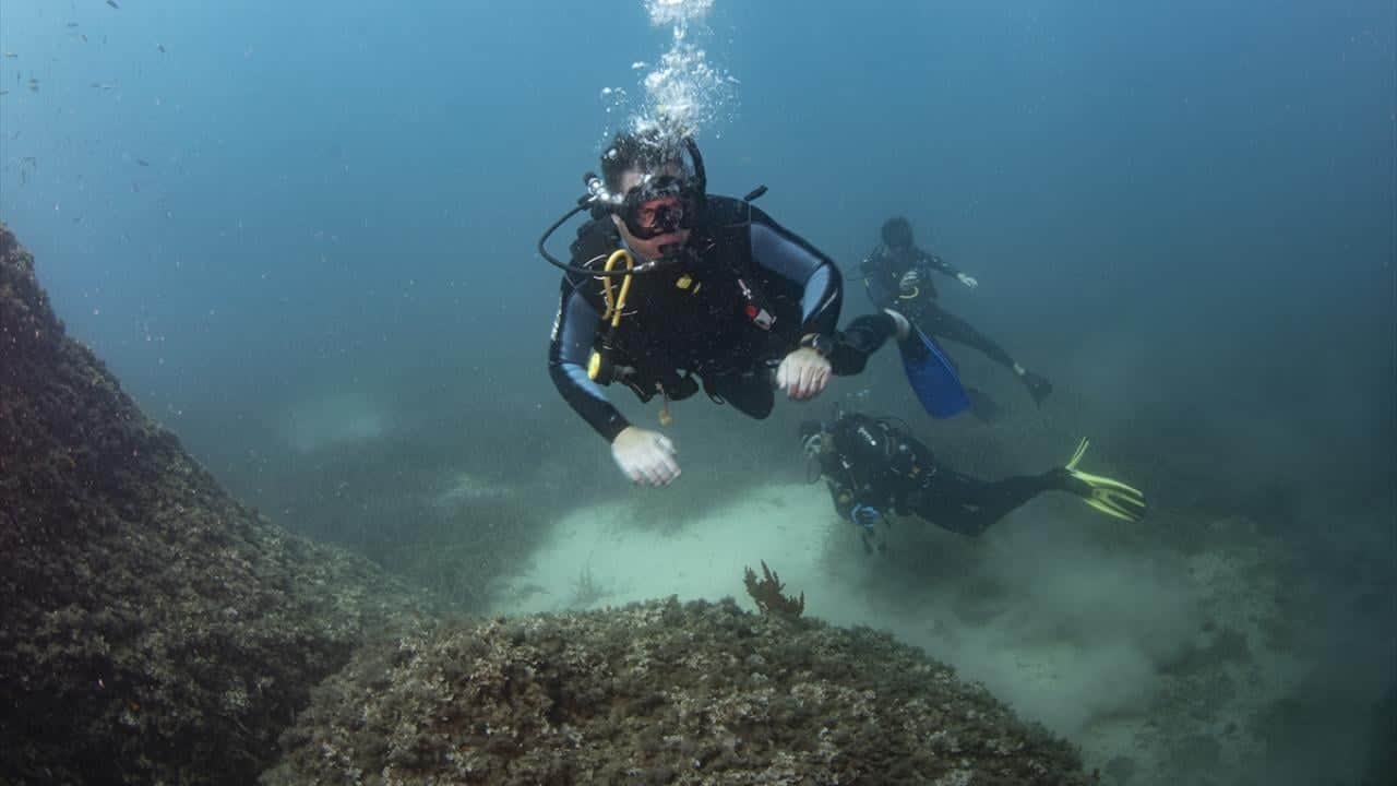 Foto - Kruvaziyer turizminin önemli durağı Kuşadası! Turistler su altı güzelliklerini de keşfediyor