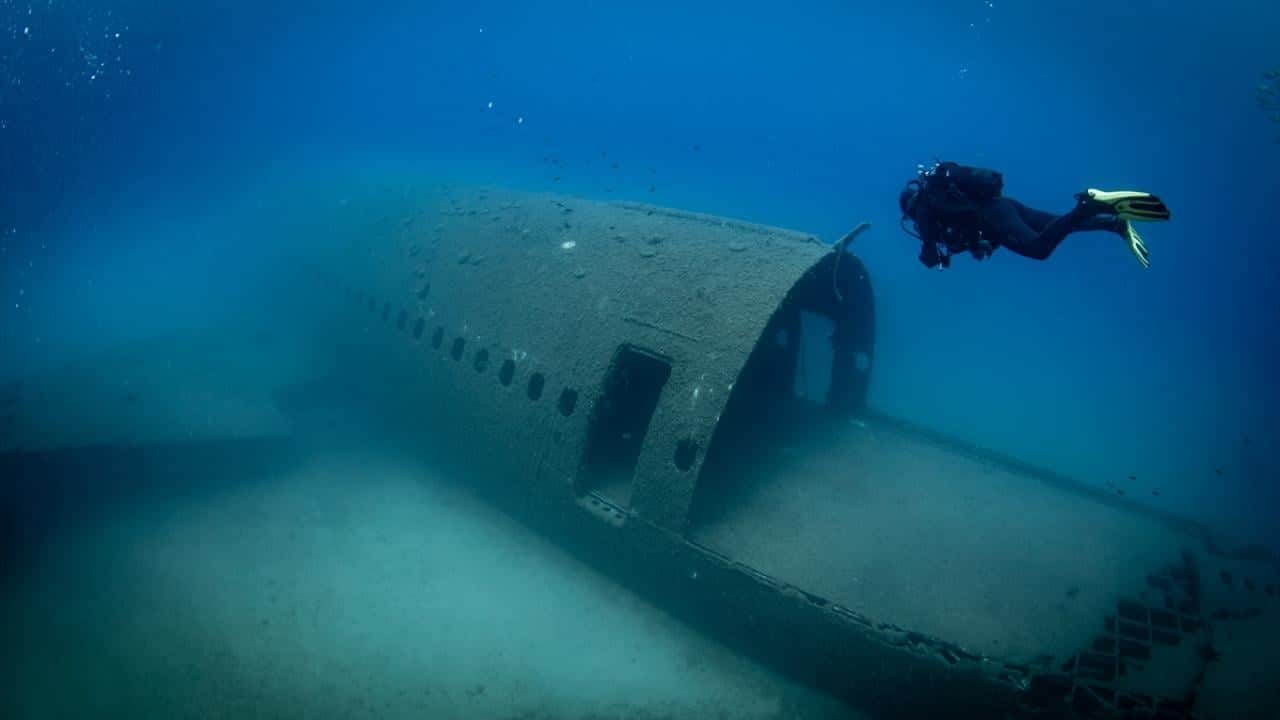 Kruvaziyer turizminin önemli durağı Kuşadası! Turistler su altı güzelliklerini de keşfediyor
