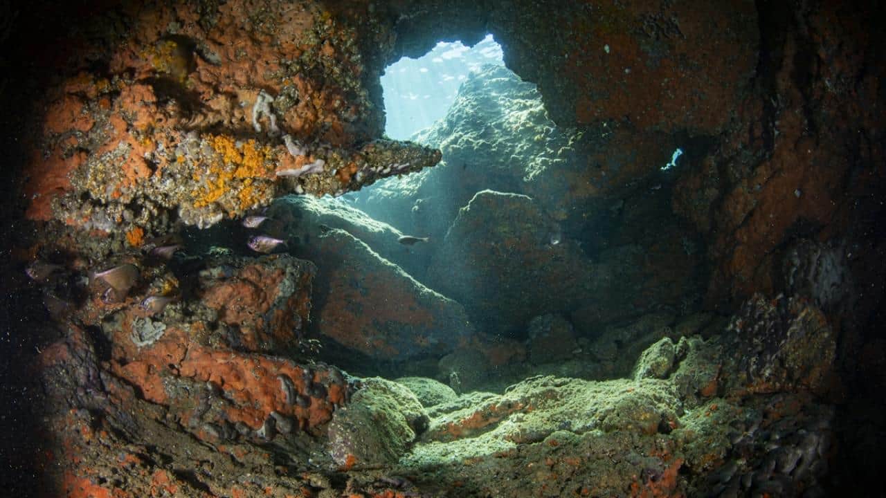 Foto - Kruvaziyer turizminin önemli durağı Kuşadası! Turistler su altı güzelliklerini de keşfediyor