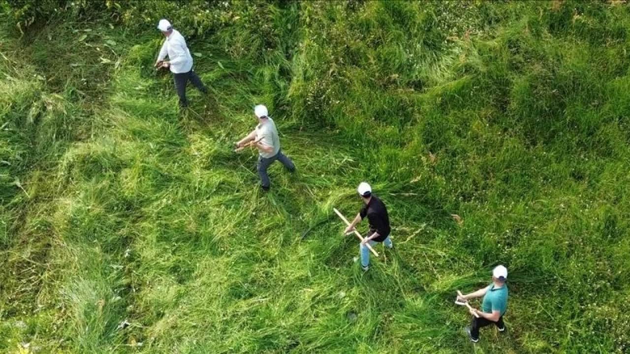 Foto - Maliyetler hızla düşüyor Çiftçilerin yeni mühendisi yapa zeka