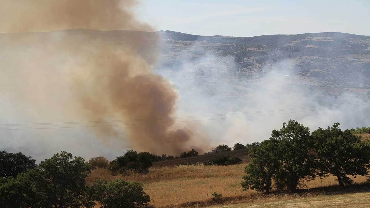 Foto - Manisa alevlere teslim oldu! Orman yangınında 15 hektarlık yeşil alan küle döndü!