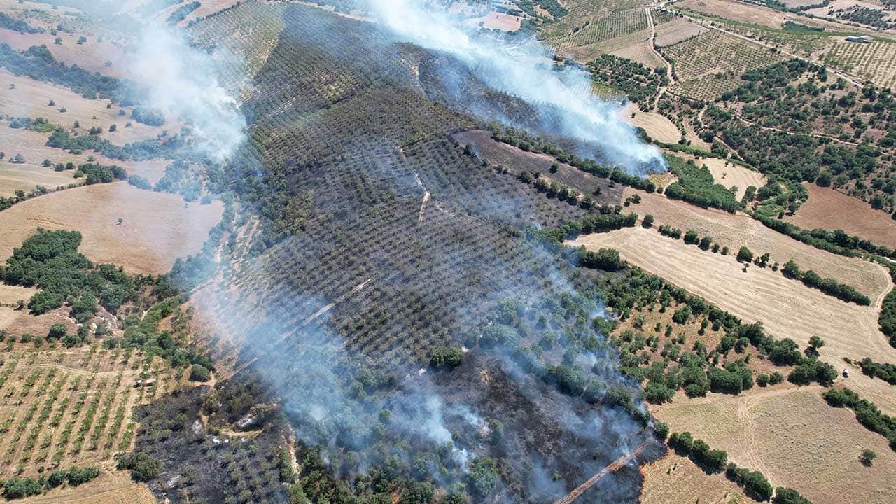 Foto - Manisa alevlere teslim oldu! Orman yangınında 15 hektarlık yeşil alan küle döndü!