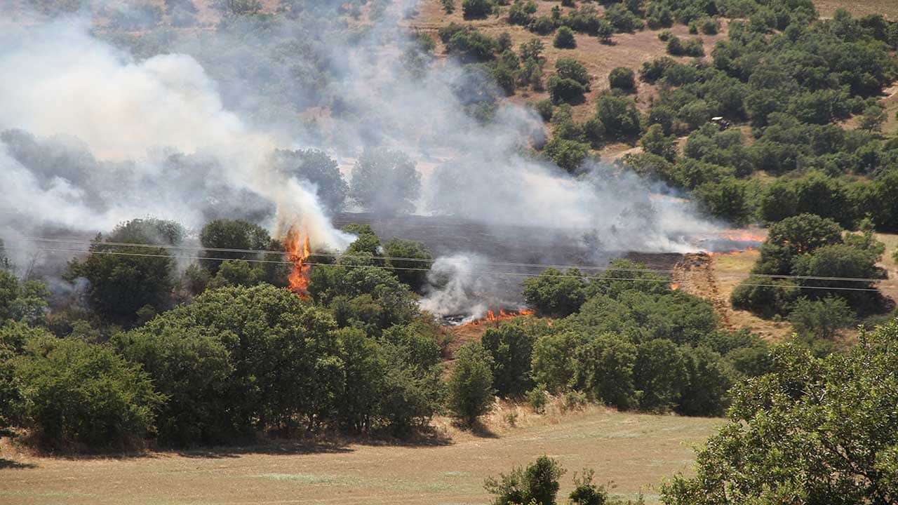 Foto - Manisa alevlere teslim oldu! Orman yangınında 15 hektarlık yeşil alan küle döndü!