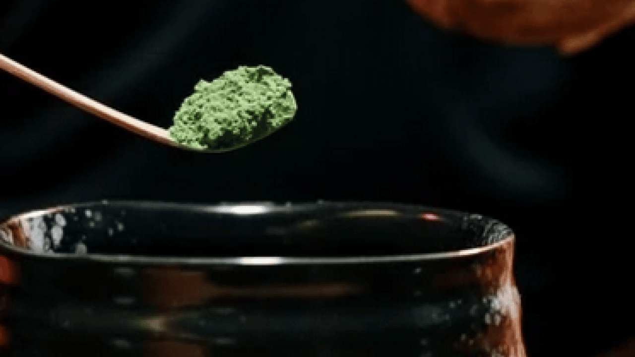 Foto - Matcha Mojito: Birçok 20 gün önce gölgelendirilen bitki yaprakları... Evde matcha mojito nasıl yapılır?