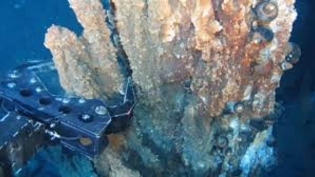 Foto - Mavi suların dibinde 20 milyon ton altın bulundu: Ama büyük bir sorun var çıkarılamıyor