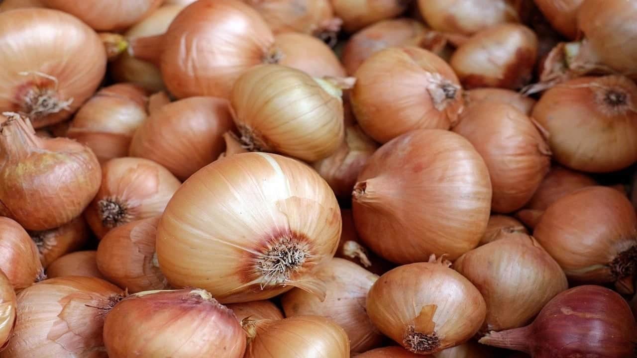 Foto - Meğer bağırsak dostu sadece bunlar! Soğan, yoğurt, keten tohumu destekler! Müthiş tavsiye