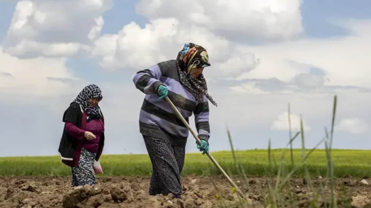Foto - Milyonlarca çiftçiyi ilgilendiriyor! 6 aylık destek ödemesi belli oldu