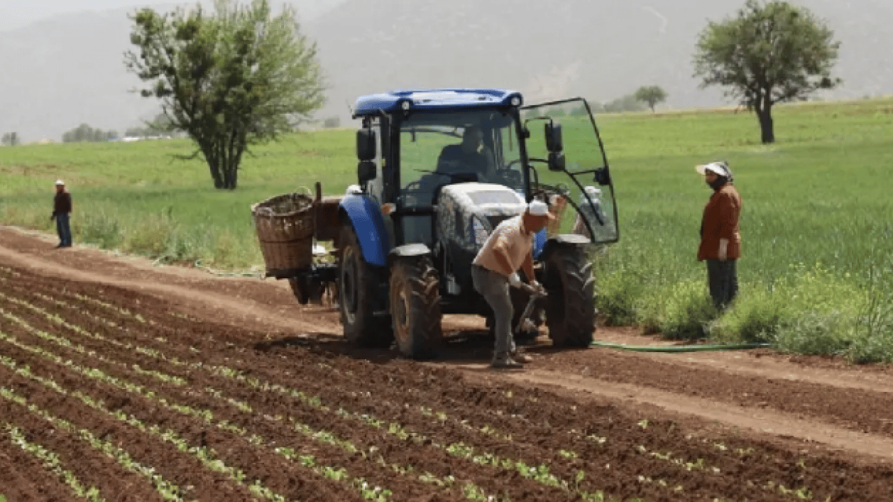 Foto - Milyonlarca çiftçiyi ilgilendiriyor! 6 aylık destek ödemesi belli oldu