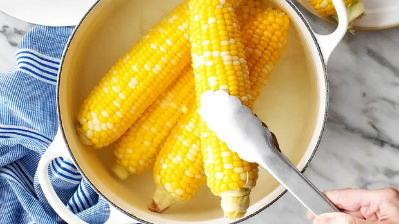 Foto - Mısırı kaynatıp suya 1 bardak süt koyun: Sokak mısırcılarının sır gibi sakladığı yöntem, pratik tarifi