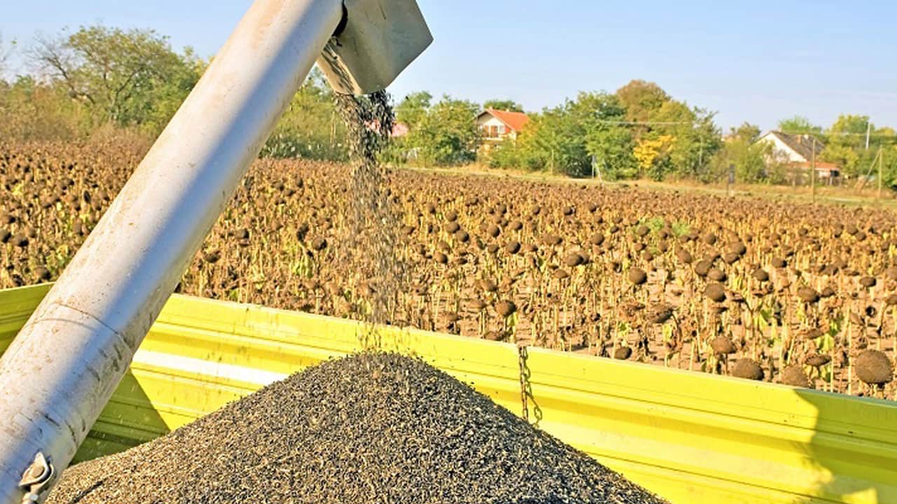 Foto - Okulda öğrenip köye getirdi: Tarlalar para basma makinesine döndü