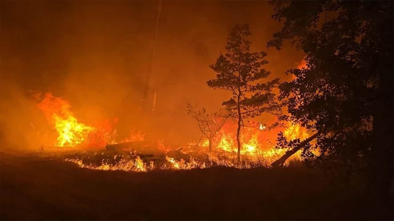 Foto - Orman yangını 300 hektara yayıldı Almanya cayır cayır 2 bin kişi tahliye 