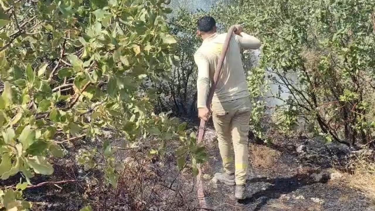 Ormanın ateş savaşçıları Yangını söndürüp halay çektiler