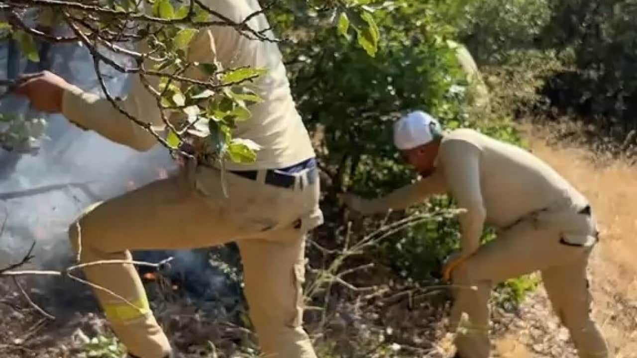 Foto - Ormanın ateş savaşçıları Yangını söndürüp halay çektiler