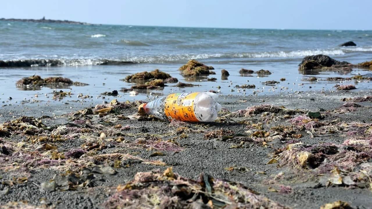 Foto - Plastiği denize taşıyorlar Akdeniz’i kirletenler nehirlermiş!