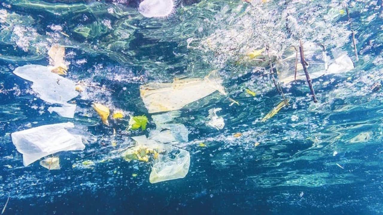 Foto - Plastiği denize taşıyorlar Akdeniz’i kirletenler nehirlermiş!