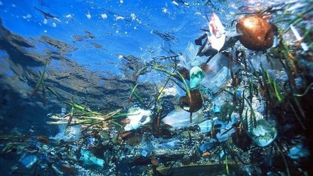 Foto - Plastiği denize taşıyorlar Akdeniz’i kirletenler nehirlermiş!