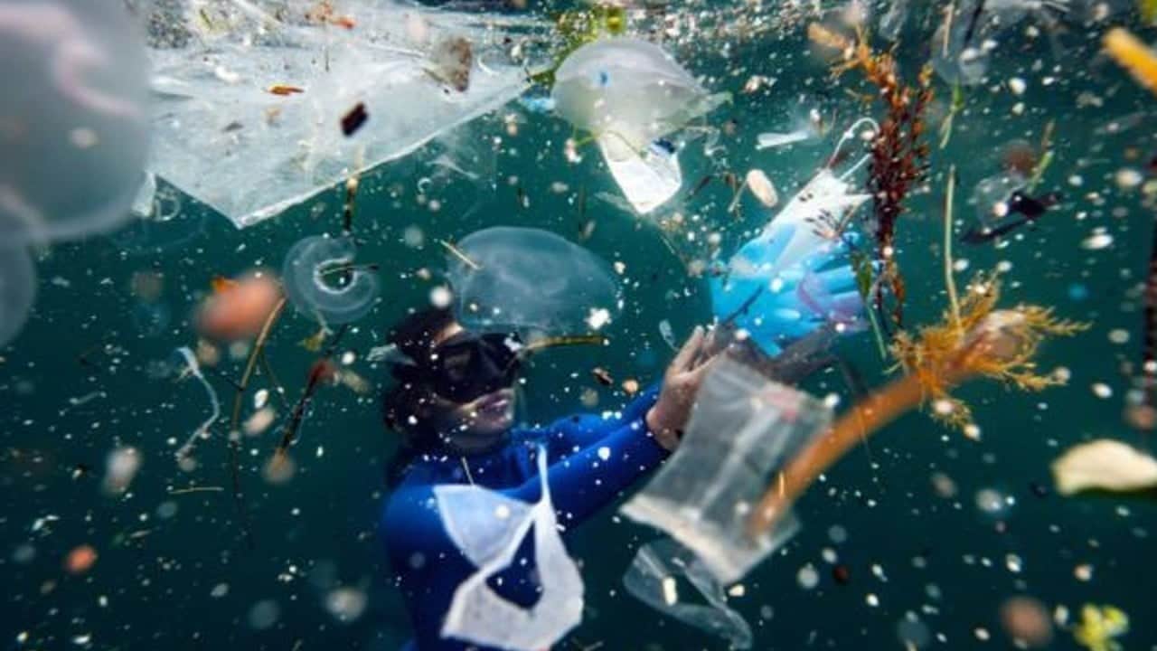 Foto - Plastiği denize taşıyorlar Akdeniz’i kirletenler nehirlermiş!