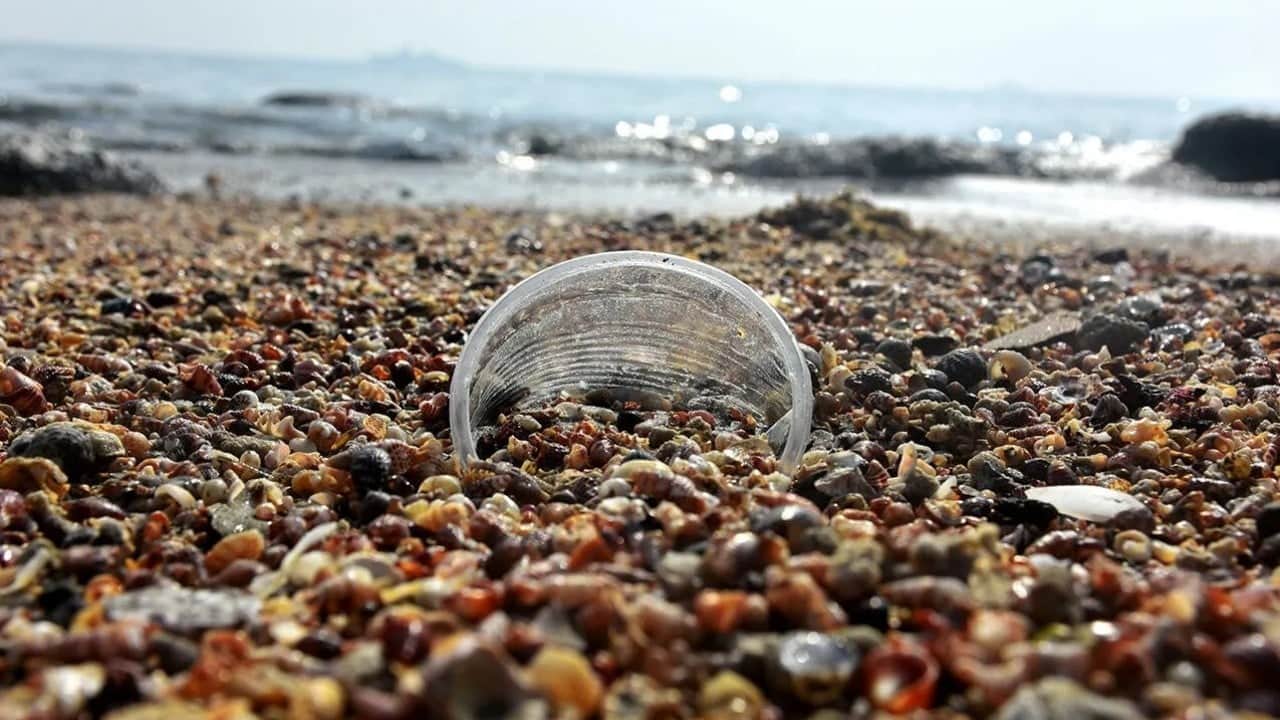 Foto - Plastiği denize taşıyorlar Akdeniz’i kirletenler nehirlermiş!