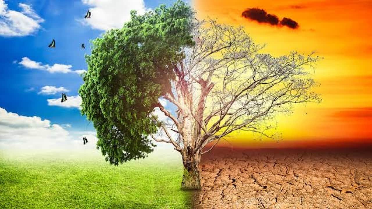 Foto - Resmi Gazete’de yayınlandı Her kentte iklim değişikliği kurulu olacak