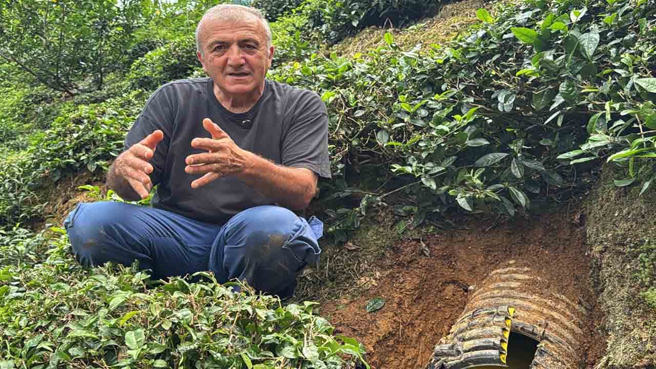 Foto - Rize’de yavru kediyi kurtarma seferberliği