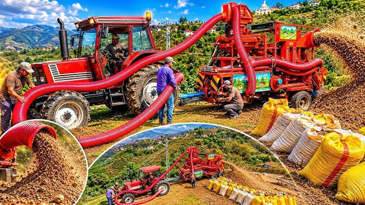 Foto - Saatte 7 bin lira kazancı duyan hemen Karadeniz’e gitmek istiyor! Ama sadece 1.5 aylık iş var
