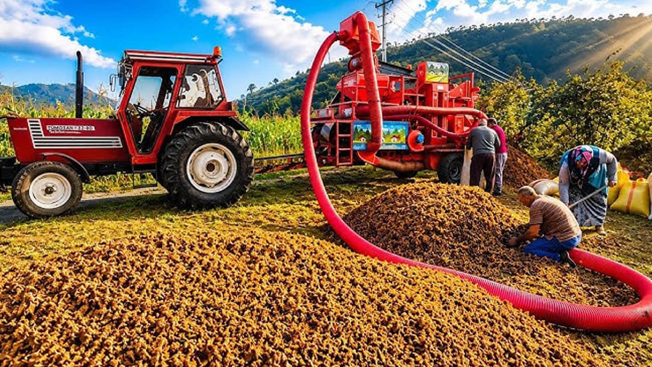 Foto - Saatte 7 bin lira kazancı duyan hemen Karadeniz’e gitmek istiyor! Ama sadece 1.5 aylık iş var