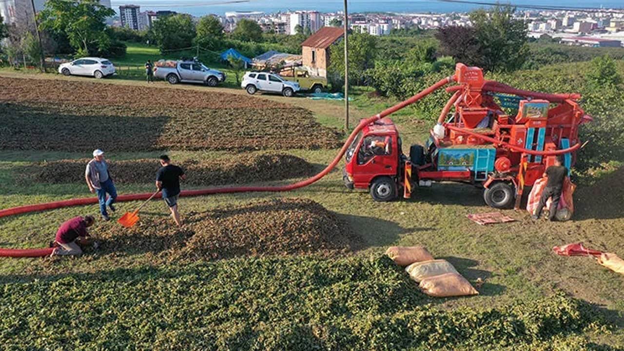 Foto - Saatte 7 bin lira kazancı duyan hemen Karadeniz’e gitmek istiyor! Ama sadece 1.5 aylık iş var
